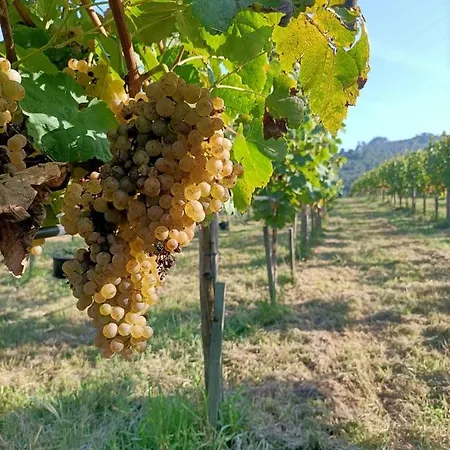 ファームステイ Quinta Do Outeiro 1598 *