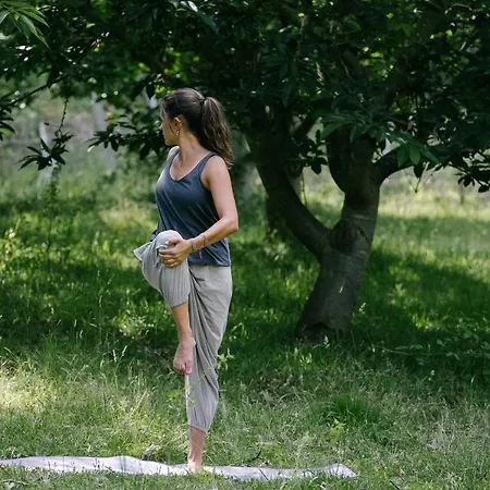 Quinta Do Outeiro 1598 ファームステイ ポンテ・ダ・バルカ