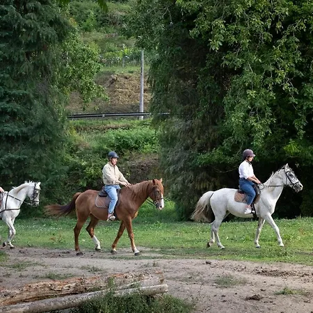 ファームステイ Quinta Do Outeiro 1598 ポンテ・ダ・バルカ