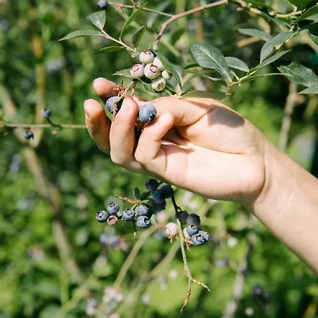 Quinta Do Outeiro 1598 ファームステイ ポンテ・ダ・バルカ