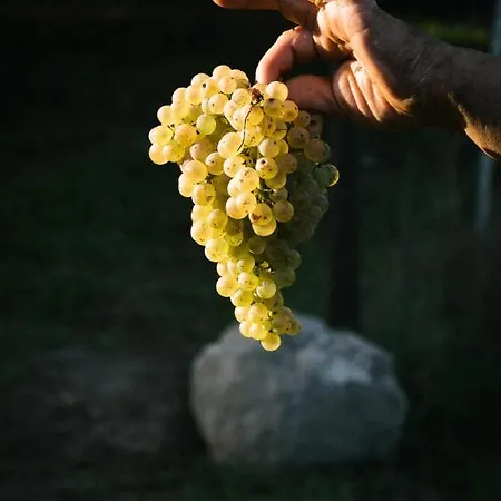 ファームステイ Quinta Do Outeiro 1598 *