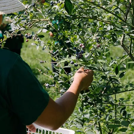 Quinta Do Outeiro 1598 *