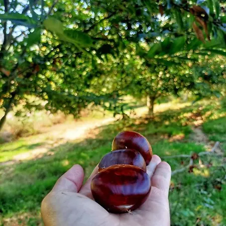 Quinta Do Outeiro 1598 * Ponte da Barca