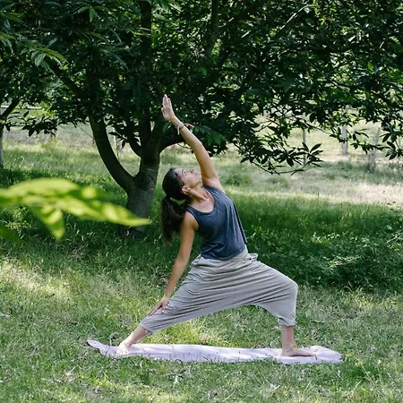 Séjour à la ferme Quinta Do Outeiro 1598