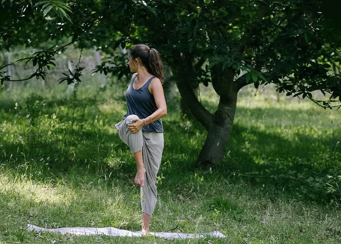 Quinta Do Outeiro 1598 בית חווה פונטה דה בארקה