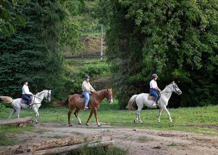 Farm stay Quinta Do Outeiro 1598 Ponte da Barca