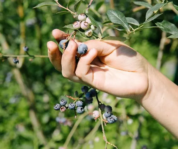 Quinta Do Outeiro 1598 Farm stay Ponte da Barca
