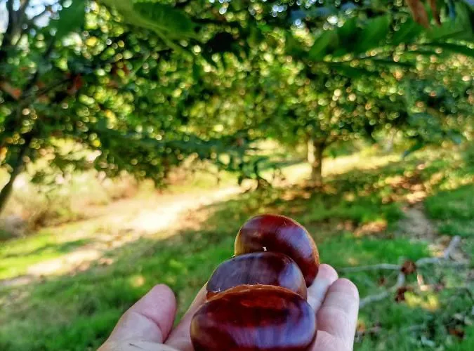 Quinta Do Outeiro 1598 * Ponte da Barca