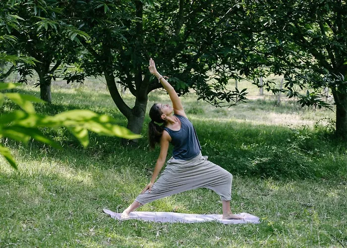 Çiftlik konaklama Quinta Do Outeiro 1598